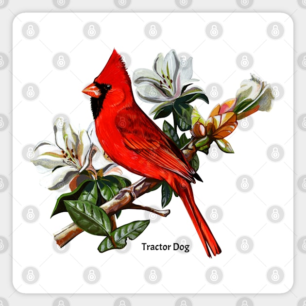 Cardinal Perch Red Bird Magnet by tractordog